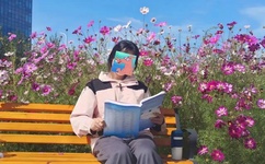 羞羞在线阅读页面免费入口页面秋蝉破解